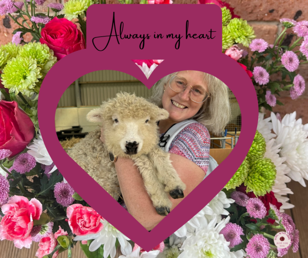 Example use of Always in my heart Frame: Aunty Libby & pet sheep